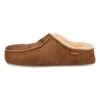 Shepherd Pantuflas - Brown -Geox Ventas 15c4739d14ab47fe87fb0ec64e788efd