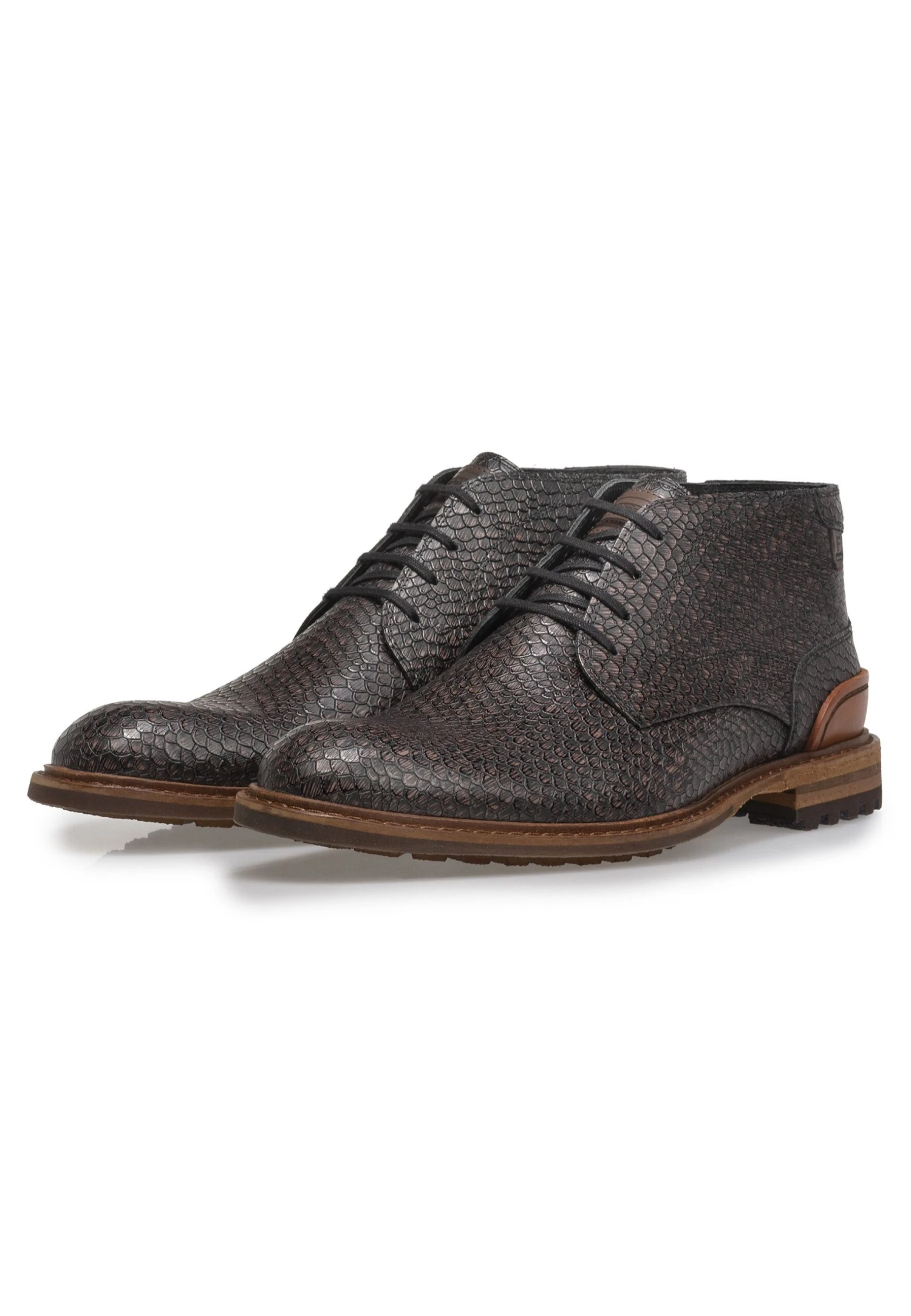 Floris Van Bommel Crepi 11 - Zapatos De Vestir - Darkbrown 4 Floris Van Bommel Crepi 11 - Zapatos De Vestir - Darkbrown - Imagen 2
