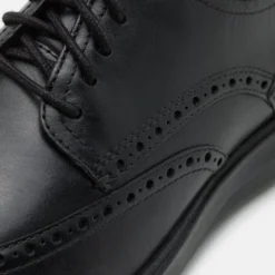 Cole Haan Grand Wingtip Oxford - Zapatos Con Cordones - Black 13 Cole Haan Grand Wingtip Oxford - Zapatos Con Cordones - Black -Geox Ventas 57f956ae72614e32896a46cf71049ce1 scaled